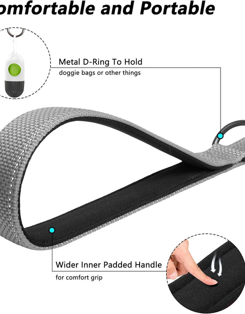 Load image into Gallery viewer, Petifine 4FT Heavy Duty Dog Leash with Soft Padded Double Handle, Durable Strong Clasp Dog Leashes, Reflective Nylon Walking Lead for Large,Medium,Small Breed Dogs, Grey
