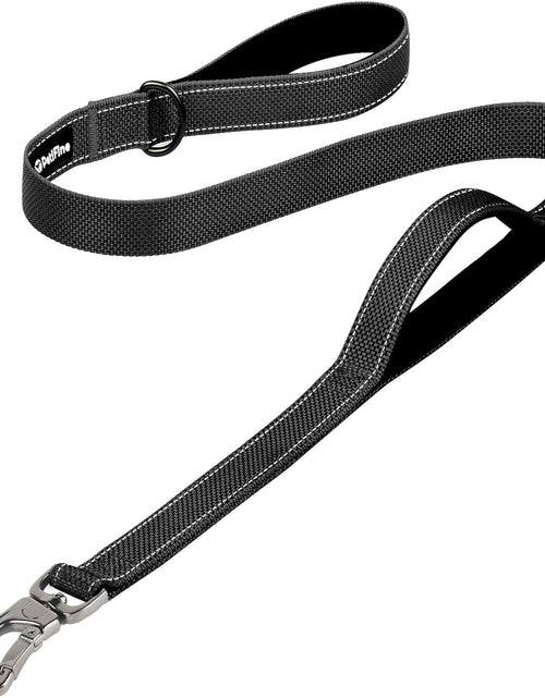 Load image into Gallery viewer, Petifine 4FT Heavy Duty Dog Leash with Soft Padded Double Handle, Durable Strong Clasp Dog Leashes, Reflective Nylon Walking Lead for Large,Medium,Small Breed Dogs, Grey
