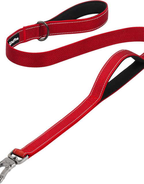 Load image into Gallery viewer, Petifine 4FT Heavy Duty Dog Leash with Soft Padded Double Handle, Durable Strong Clasp Dog Leashes, Reflective Nylon Walking Lead for Large,Medium,Small Breed Dogs, Grey
