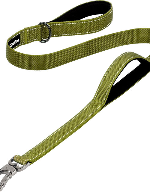 Load image into Gallery viewer, Petifine 4FT Heavy Duty Dog Leash with Soft Padded Double Handle, Durable Strong Clasp Dog Leashes, Reflective Nylon Walking Lead for Large,Medium,Small Breed Dogs, Grey
