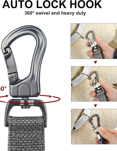 Load image into Gallery viewer, Petifine 4FT Heavy Duty Dog Leash with Soft Padded Double Handle, Durable Strong Clasp Dog Leashes, Reflective Nylon Walking Lead for Large,Medium,Small Breed Dogs, Grey
