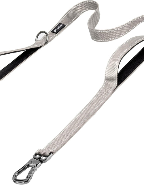 Load image into Gallery viewer, Petifine 4FT Heavy Duty Dog Leash with Soft Padded Double Handle, Durable Strong Clasp Dog Leashes, Reflective Nylon Walking Lead for Large,Medium,Small Breed Dogs, Grey
