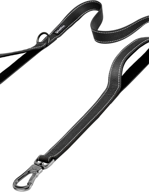 Load image into Gallery viewer, Petifine 4FT Heavy Duty Dog Leash with Soft Padded Double Handle, Durable Strong Clasp Dog Leashes, Reflective Nylon Walking Lead for Large,Medium,Small Breed Dogs, Grey
