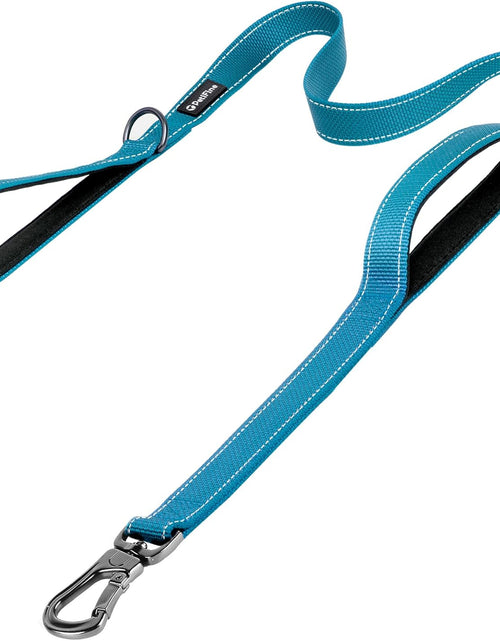 Load image into Gallery viewer, Petifine 4FT Heavy Duty Dog Leash with Soft Padded Double Handle, Durable Strong Clasp Dog Leashes, Reflective Nylon Walking Lead for Large,Medium,Small Breed Dogs, Grey
