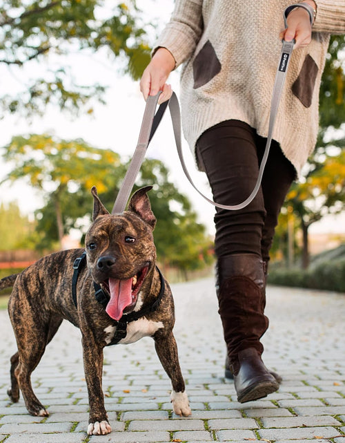 Load image into Gallery viewer, Petifine 4FT Heavy Duty Dog Leash with Soft Padded Double Handle, Durable Strong Clasp Dog Leashes, Reflective Nylon Walking Lead for Large,Medium,Small Breed Dogs, Grey
