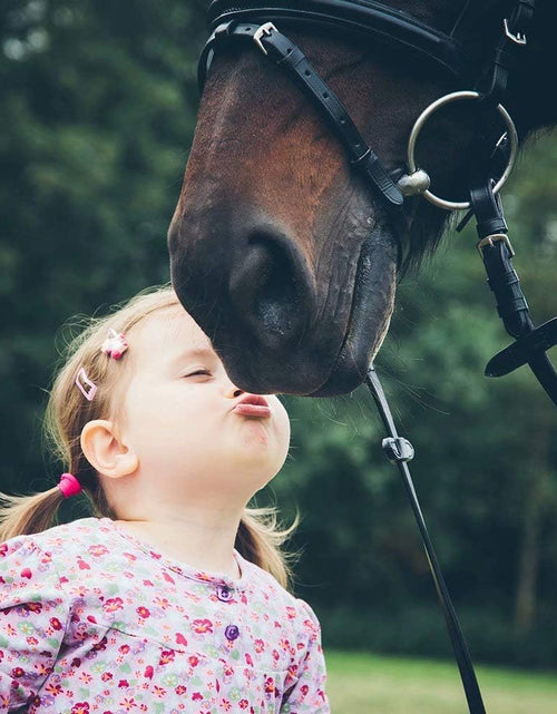 Load image into Gallery viewer, MONOOC Horse Gifts for Girls - Stainless Steel Heart Initial Necklace, Dainty Jewelry for Women, Teen Girls, Horse Lovers
