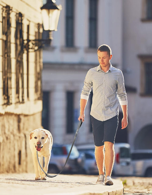 Load image into Gallery viewer, Petifine 4FT Heavy Duty Dog Leash with Soft Padded Double Handle, Durable Strong Clasp Dog Leashes, Reflective Nylon Walking Lead for Large,Medium,Small Breed Dogs, Grey
