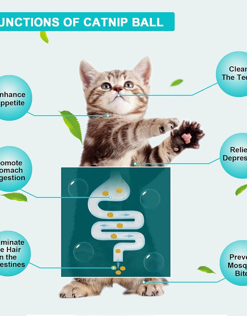 Load image into Gallery viewer, Catnip Cat Toys with 2 Candies, Catnip Wall Ball Toys for Indoor Cats, Rotatable Safe Healthy Edible Licking Balls for Kitty Playing, Kitten Chew Cleaning Teeth Treats Toys…
