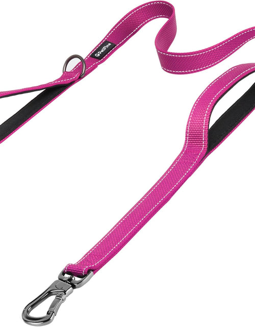 Load image into Gallery viewer, Petifine 4FT Heavy Duty Dog Leash with Soft Padded Double Handle, Durable Strong Clasp Dog Leashes, Reflective Nylon Walking Lead for Large,Medium,Small Breed Dogs, Grey
