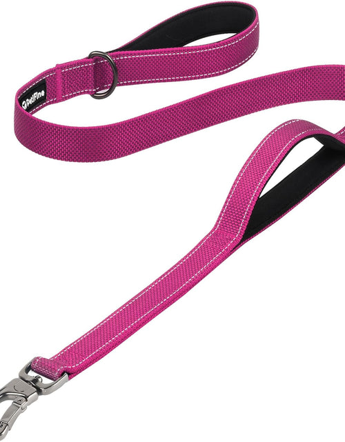 Load image into Gallery viewer, Petifine 4FT Heavy Duty Dog Leash with Soft Padded Double Handle, Durable Strong Clasp Dog Leashes, Reflective Nylon Walking Lead for Large,Medium,Small Breed Dogs, Grey
