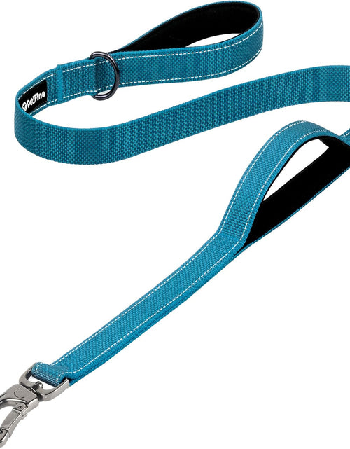 Load image into Gallery viewer, Petifine 4FT Heavy Duty Dog Leash with Soft Padded Double Handle, Durable Strong Clasp Dog Leashes, Reflective Nylon Walking Lead for Large,Medium,Small Breed Dogs, Grey
