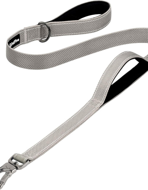 Load image into Gallery viewer, Petifine 4FT Heavy Duty Dog Leash with Soft Padded Double Handle, Durable Strong Clasp Dog Leashes, Reflective Nylon Walking Lead for Large,Medium,Small Breed Dogs, Grey
