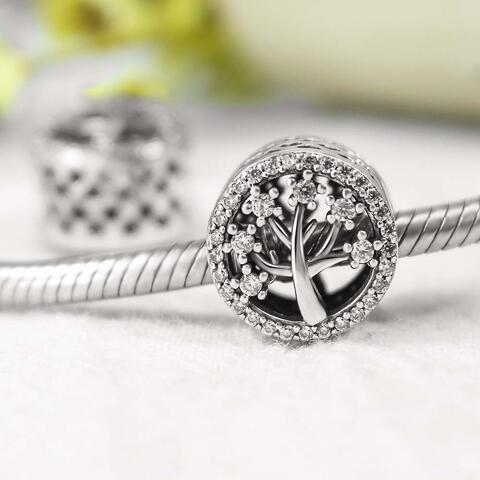 Load image into Gallery viewer, One Piece 925 Sterling Silver Bead Charm
