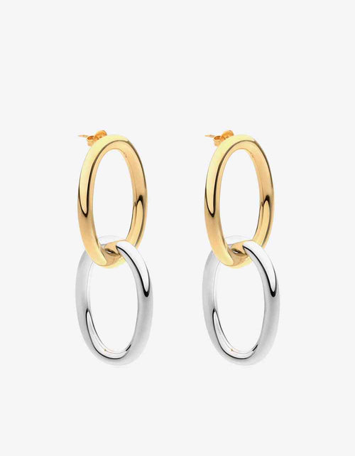 Load image into Gallery viewer, Two-Tone Double Hoop Earrings
