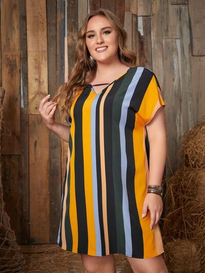 Load image into Gallery viewer, Plus Size Striped Short Sleeve Mini Dress
